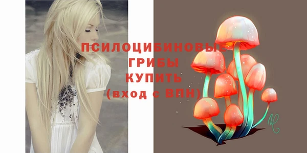дурь Липки