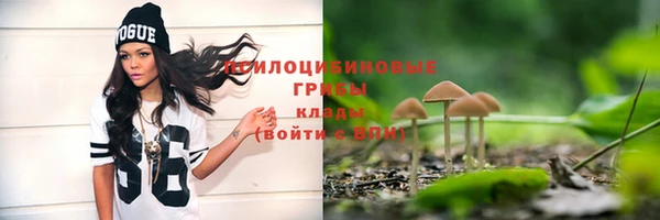 дурь Липки