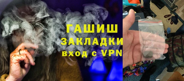 прущие грибы Ладушкин