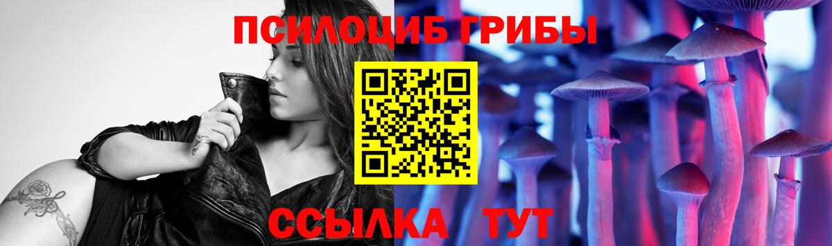 Псилоцибиновые грибы Cubensis  Тейково 